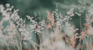 Read more about the article Lacinia nunc curabitur tortor pellentesque