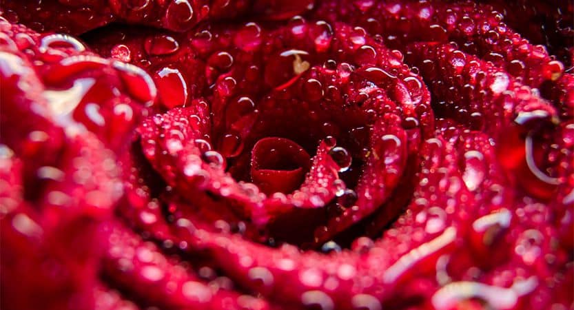 You are currently viewing Lorem ipsum dolor sit amet consectetur