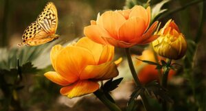 Read more about the article Quis ligula lacinia aliquet mauris ipsum